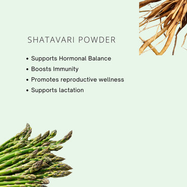 Shatavari Powder
