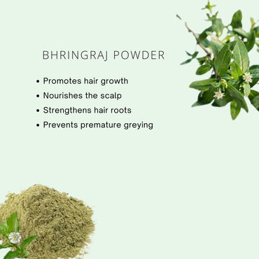 Bhringraj powder with text highlighting its benefits on a light green background