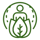 Ayurvedic Wellness Supplements