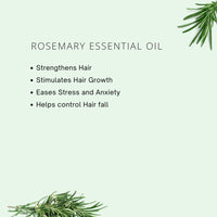 Rosemary Oil